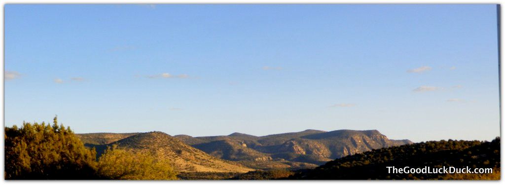 Coconino National Forest