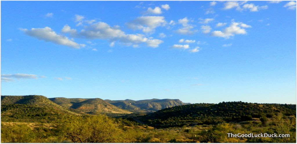 Coconino National Forest