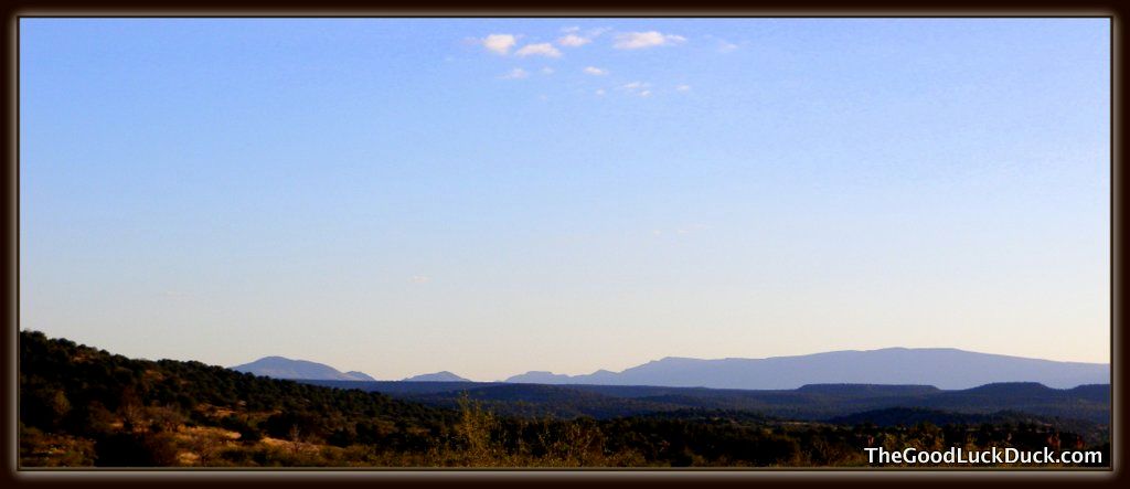Coconino National Forest
