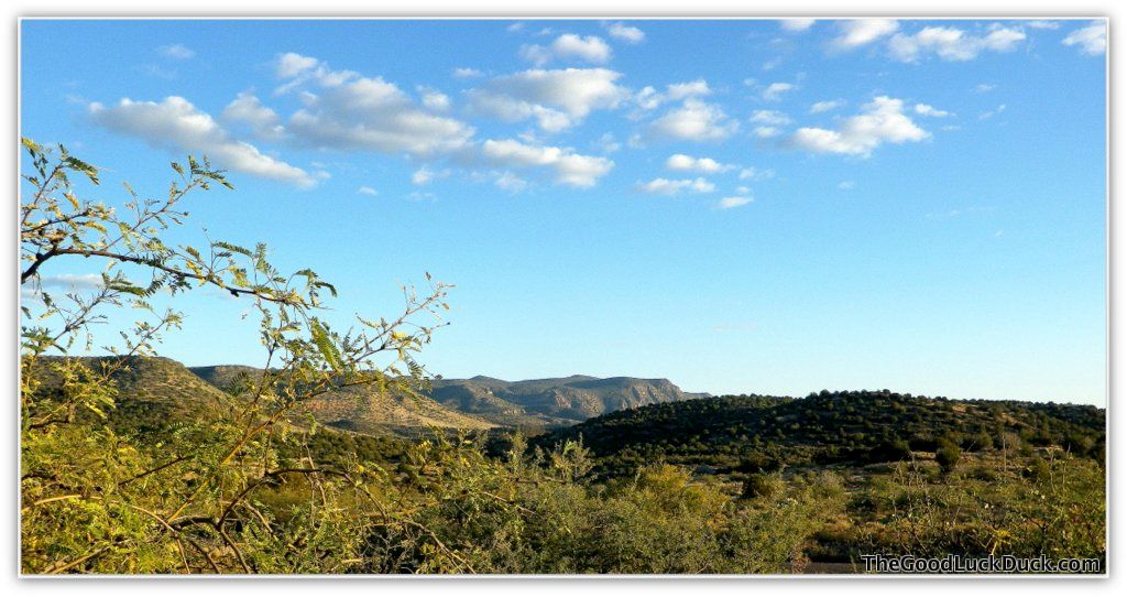 Coconino National Forest