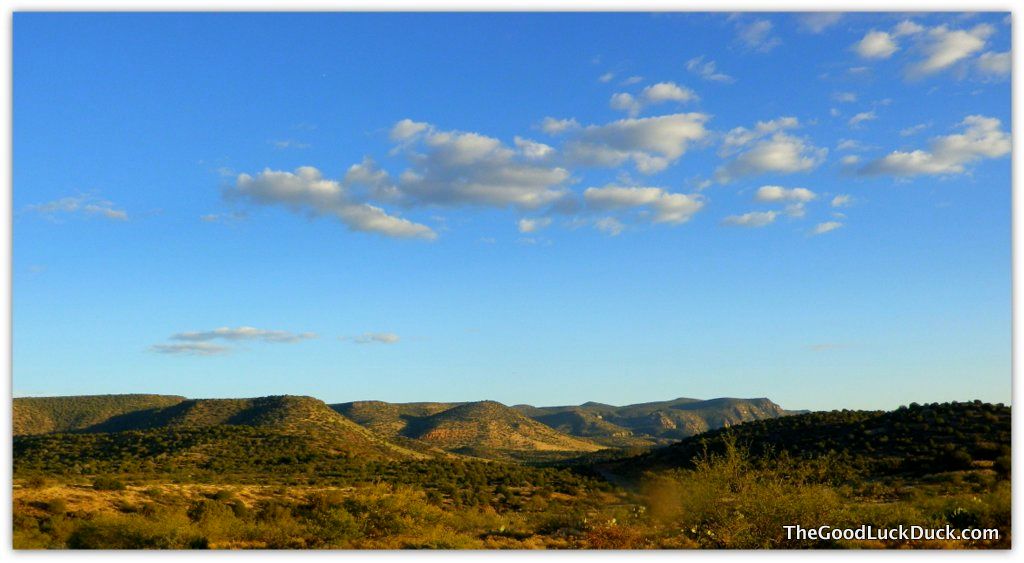 Coconino National Forest
