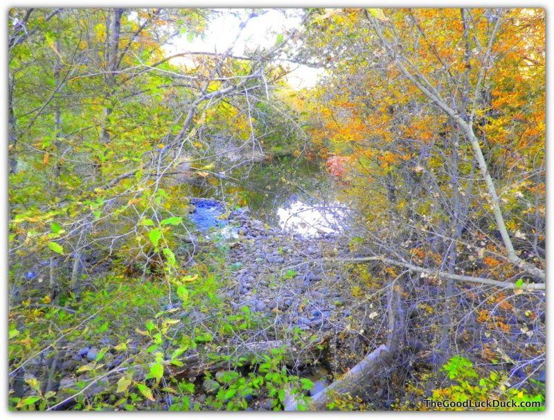 Wet Beaver Creek