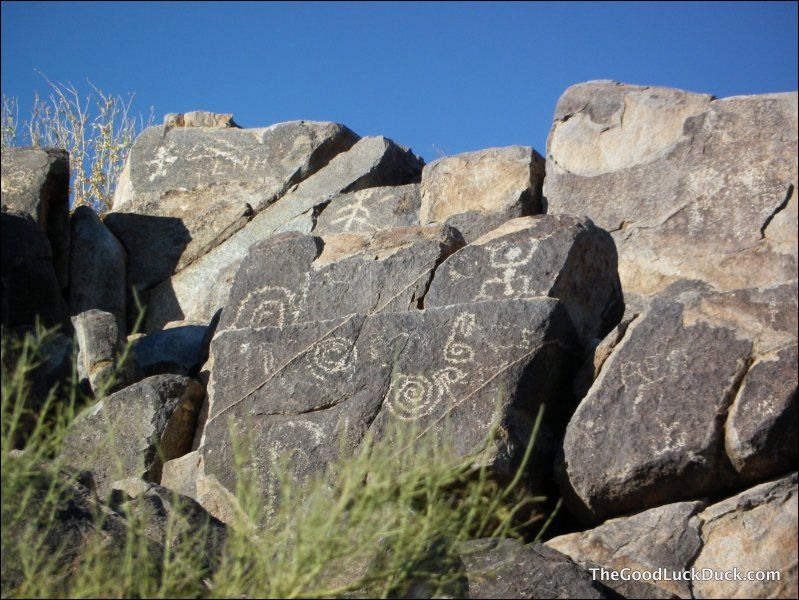 Signal Hill, Saguaro National Park