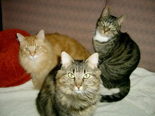 Charlie's Angels