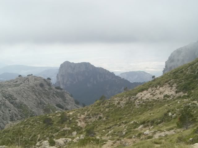 CIMG2131.jpg