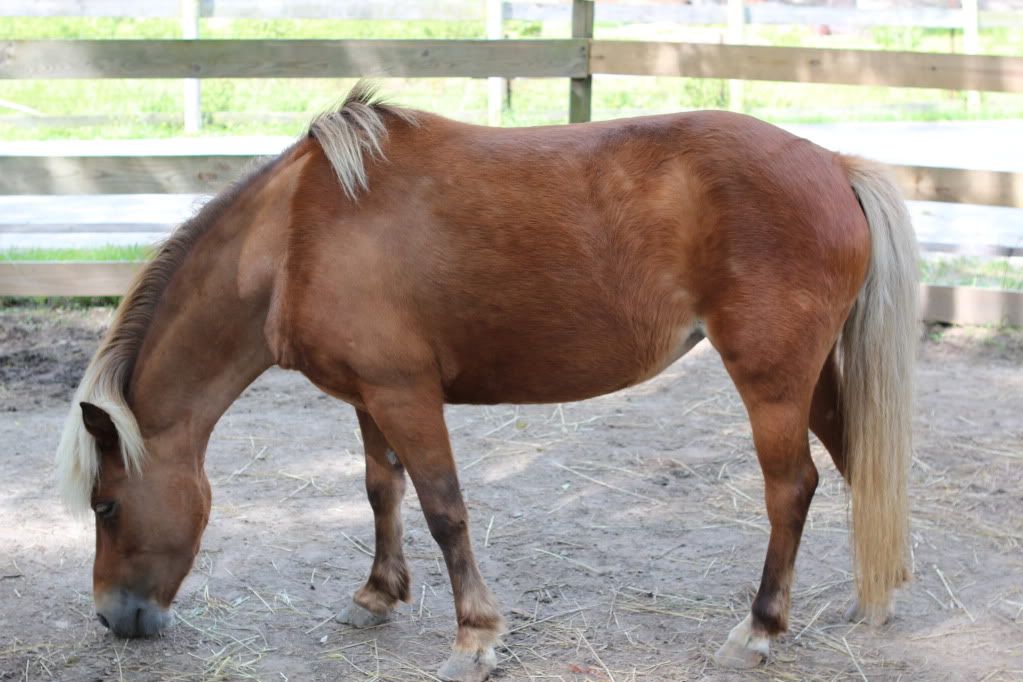 Does this look like a worm belly? Chronicle Forums