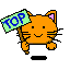 kaos-cats11.gif