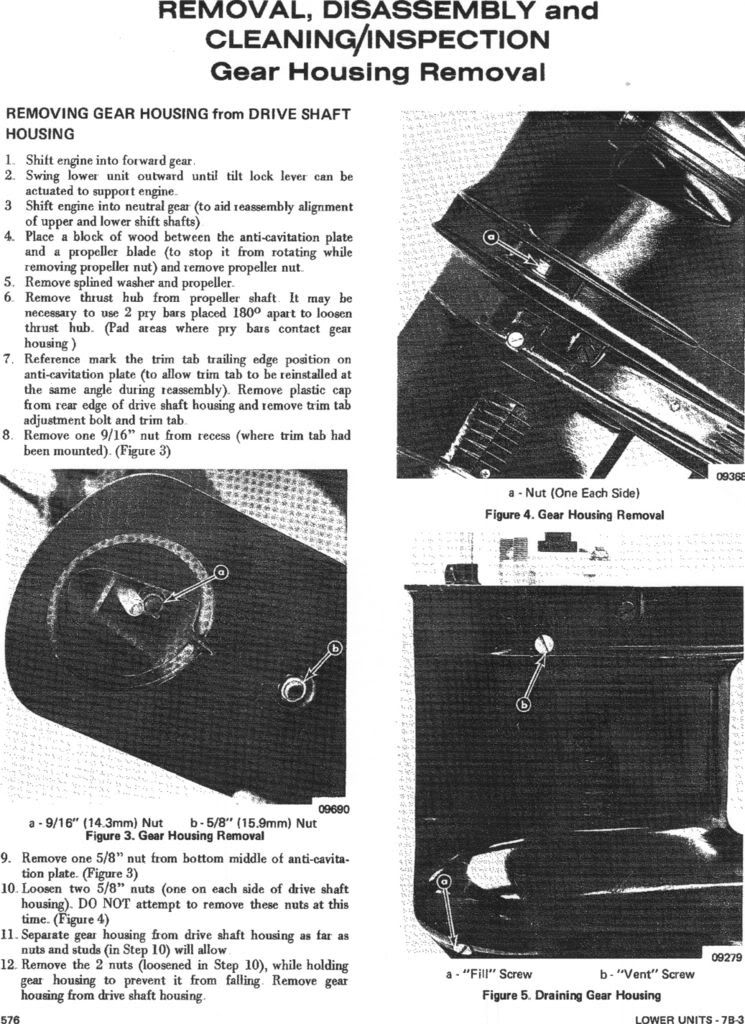 P2.jpg