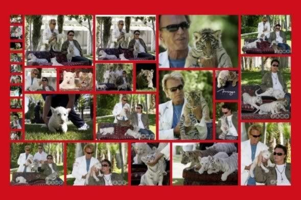 Photobucket Image Hosting