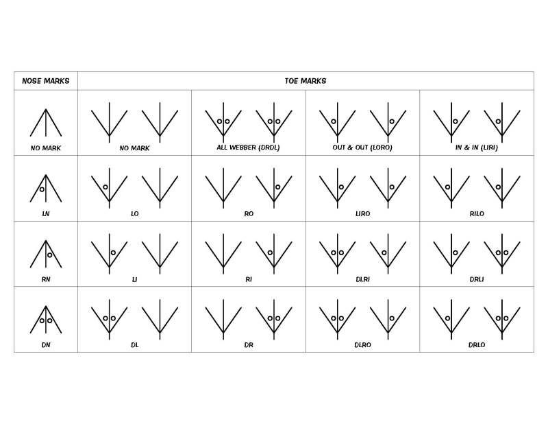 chick-toe-punch-chart