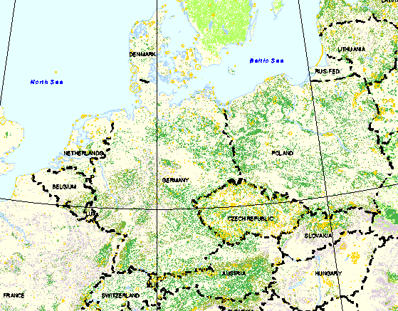 map4_large.gif