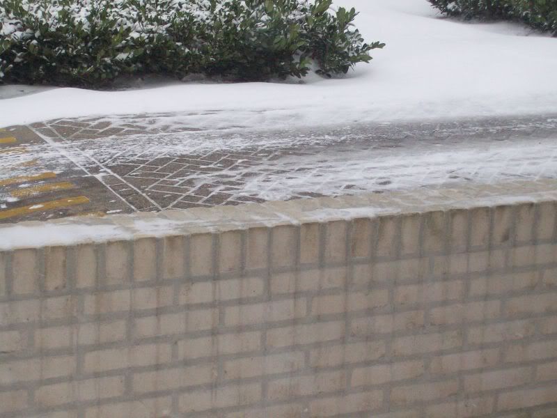 209_0001.jpg picture by britjoe