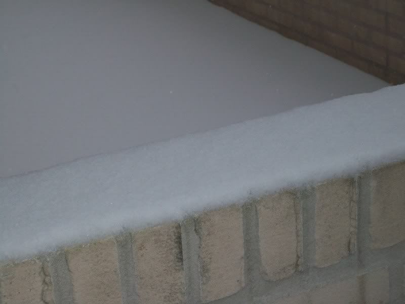 209_0002.jpg picture by britjoe