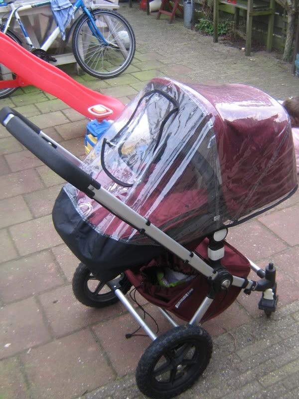 IMG_2146.jpg picture by britjoe