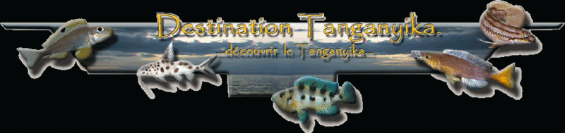 Destination Tanganyika