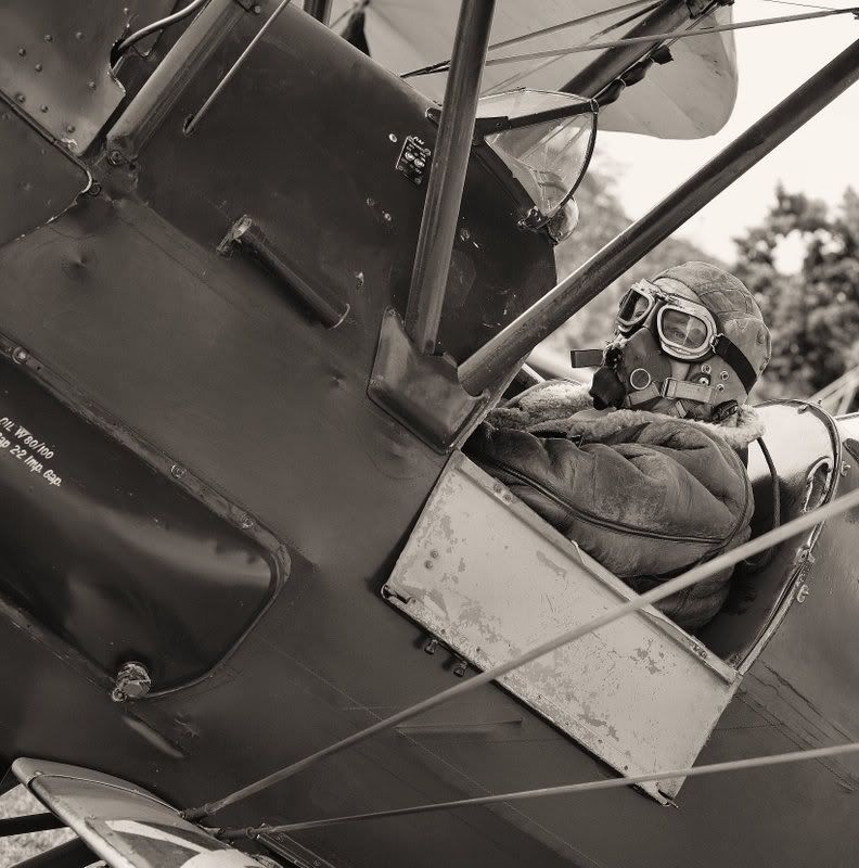 IMAGE: http://i13.photobucket.com/albums/a262/bakergt40/besttigermothlewis042creducedmb.jpg