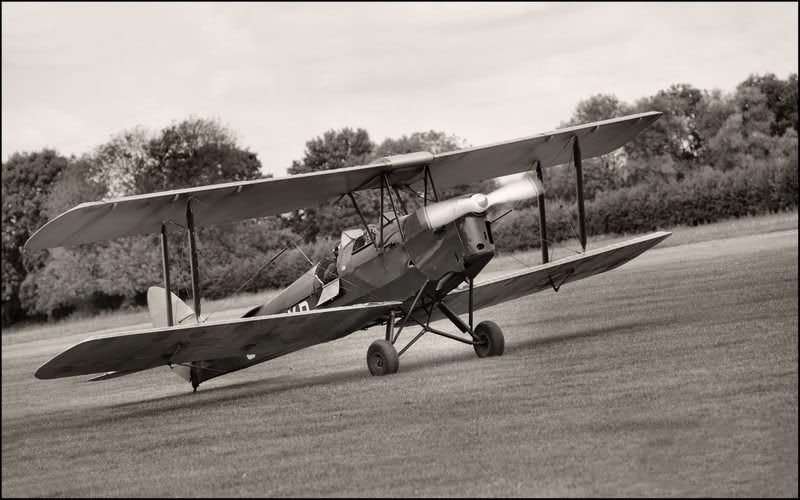 IMAGE: http://i13.photobucket.com/albums/a262/bakergt40/besttigermothlewis105dreducedmb.jpg