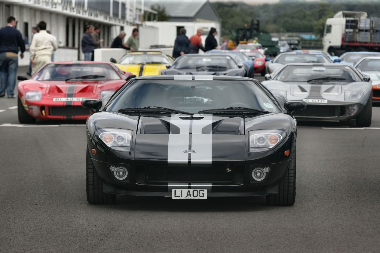 goodwoodtrackday06010.jpg