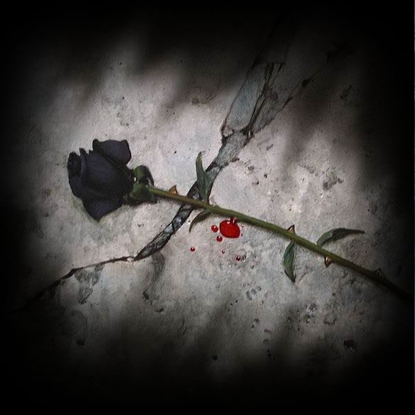 Bloody Black Rose