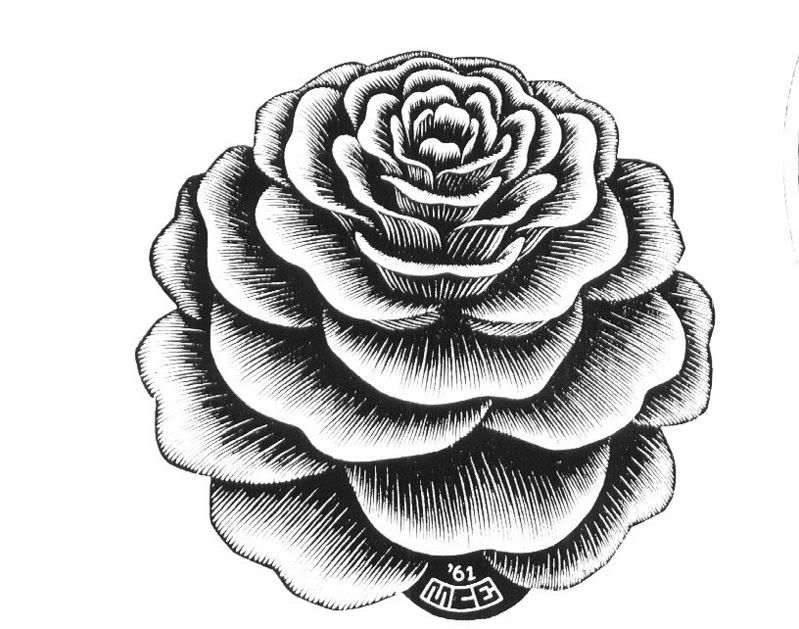 Rose.jpg