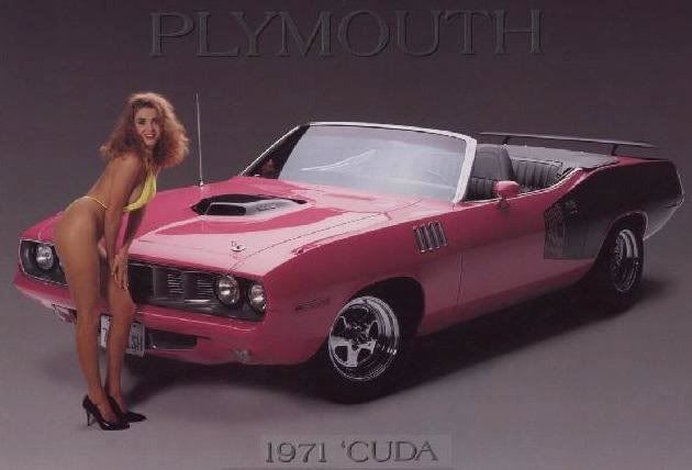Yes I'd own a pink 1971'cuda or a bright purple metallic Trans Am
