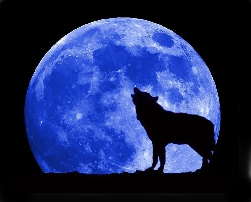 blue-moon-wolf-full.jpg Wolf Moon image by NightmareWolf_