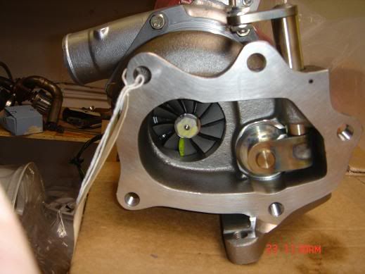 Project400002.jpg