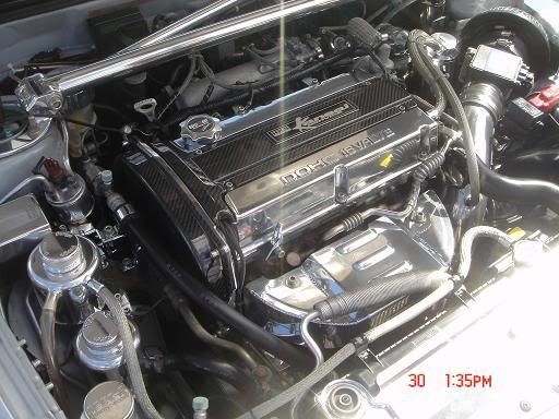 TOTB6018.jpg