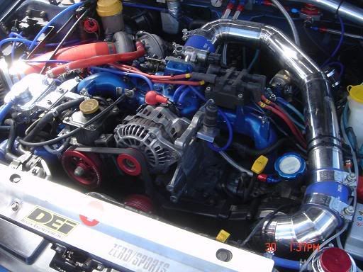 TOTB6020.jpg