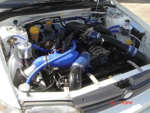 TOTB6022.jpg
