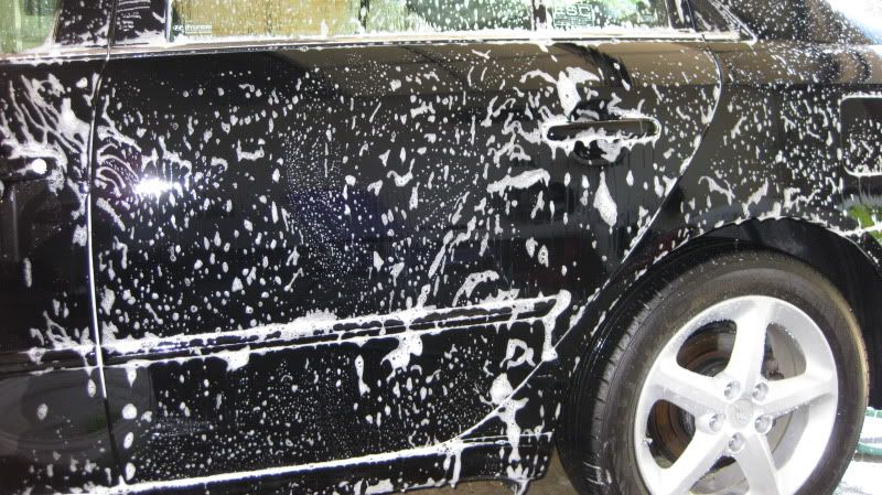 foamy.jpg