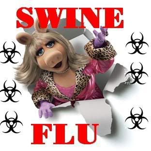 swine flu