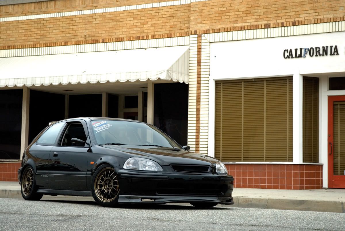 [Image: _DSC0025a.jpg]