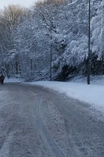 HEAVYSNOWDOWNEDTHETREE.jpg