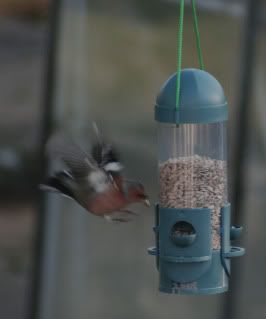 Landing.jpg