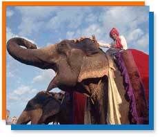 riding-elephant-jaipur.jpg