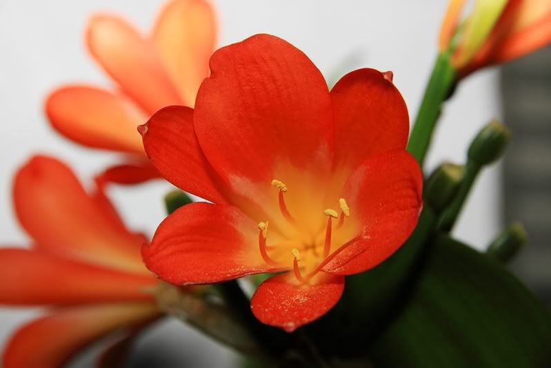 IMAGE: http://i13.photobucket.com/albums/a268/evomacky/IMG_3256.jpg