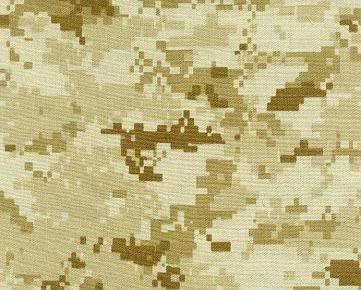 http://i13.photobucket.com/albums/a269/SGMBristol/DesertMarineDigitalCamo.jpg