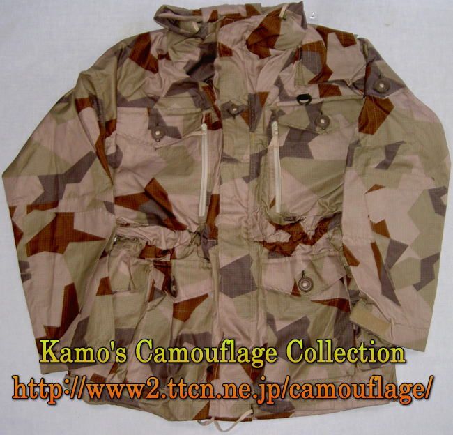http://i13.photobucket.com/albums/a269/SGMBristol/SweedishCamoDesert.jpg