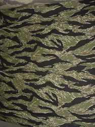 http://i13.photobucket.com/albums/a269/SGMBristol/TigerStripe.gif