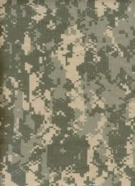 http://i13.photobucket.com/albums/a269/SGMBristol/UniversalMarineDigitalCamo.jpg