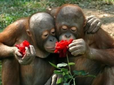 StopSmellTheRoses.jpg image by nola76