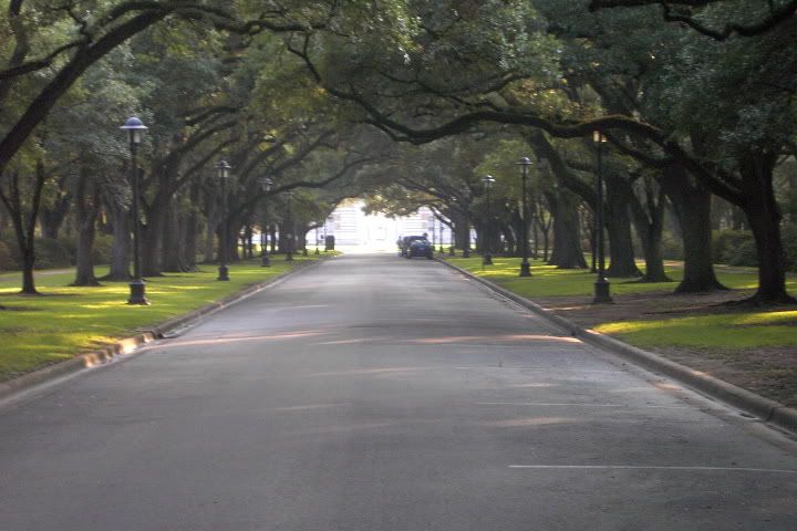 Rice University in Houston Pictures, Images and Photos