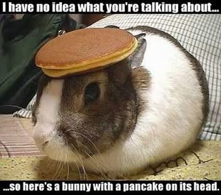 bunnywithpancake-1.jpg