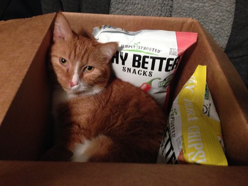 way better snacks sponsored post lucky bandit blog katelyn carter