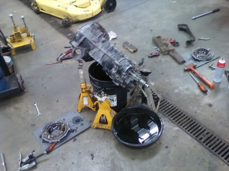 Image may have been reduced in size. Click image to view fullscreen.