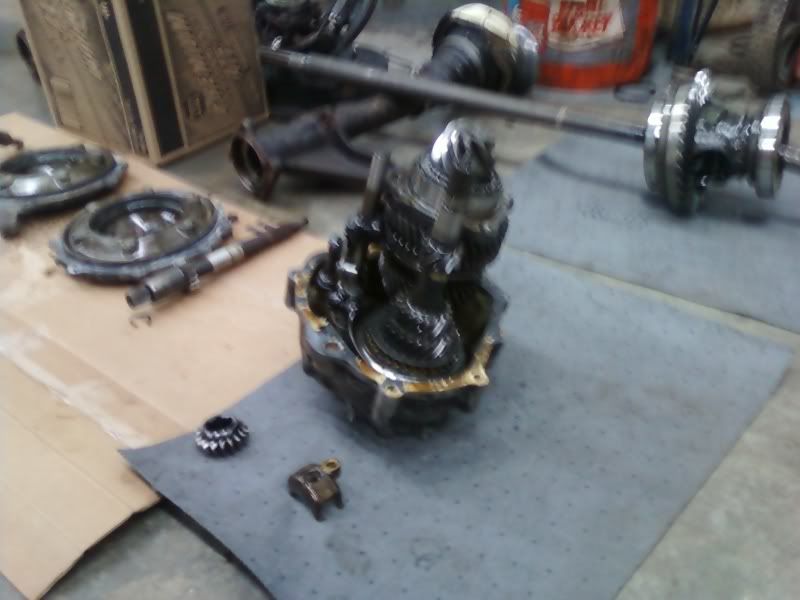 Image may have been reduced in size. Click image to view fullscreen.