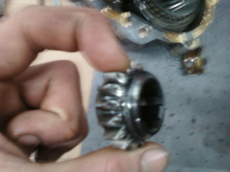 Image may have been reduced in size. Click image to view fullscreen.