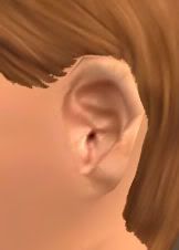 Ohr2.jpg