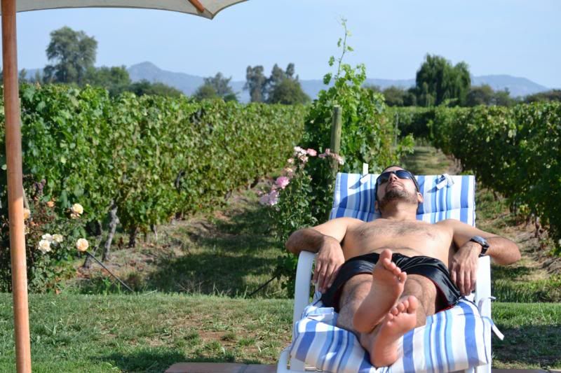 KIF shock protection? SAS shock protection? TAC (Trans Andes Challenge